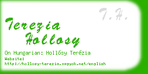 terezia hollosy business card