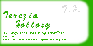 terezia hollosy business card